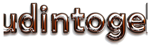 udintogel logo